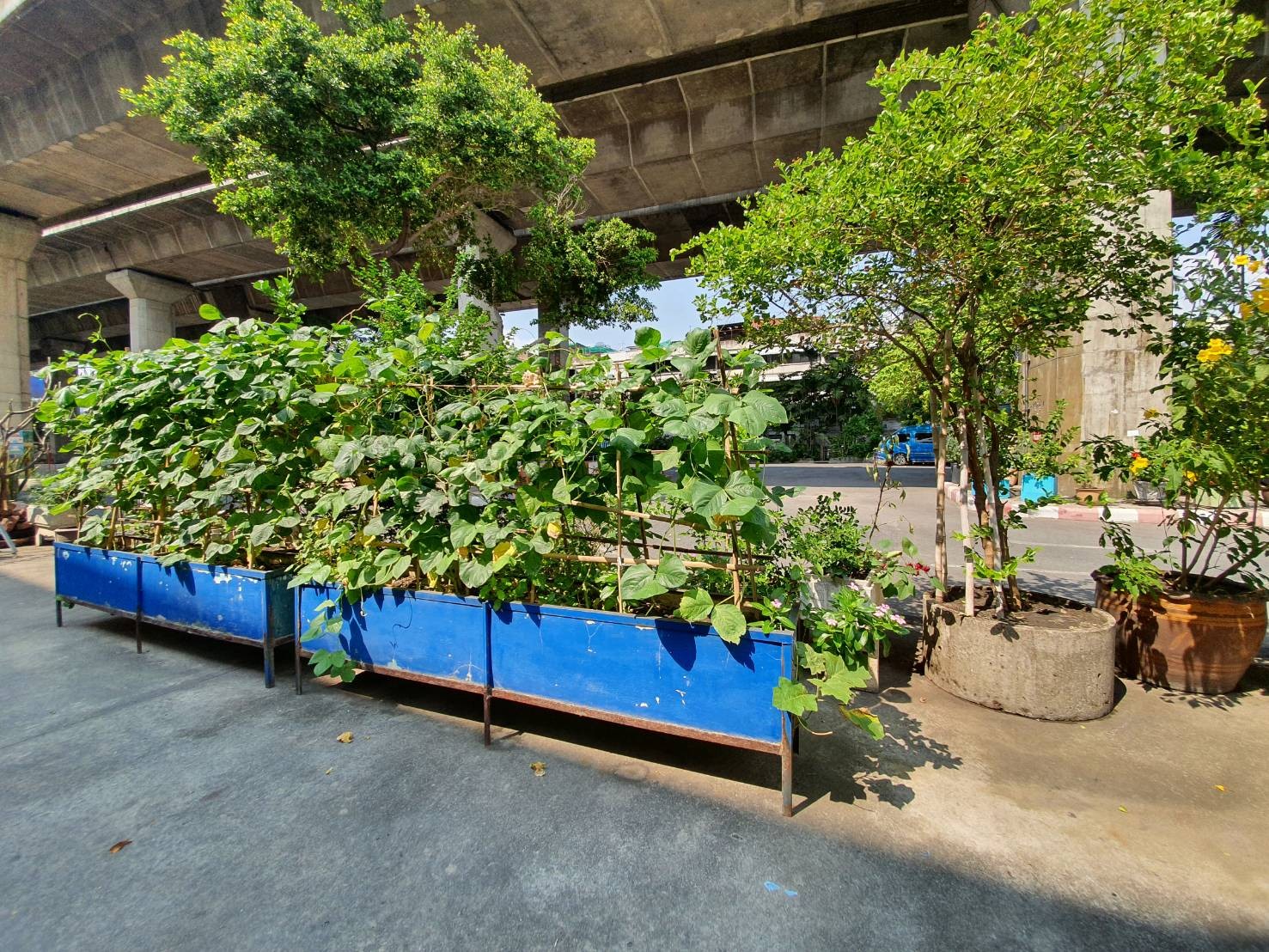 ประวัติโรงเรียนสมาคมสตรีไทย